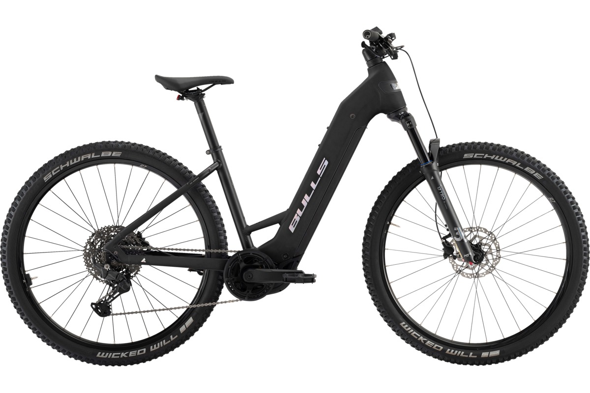 E-Bike mit Bosch CX Performance Line Mittelmotor im Detail